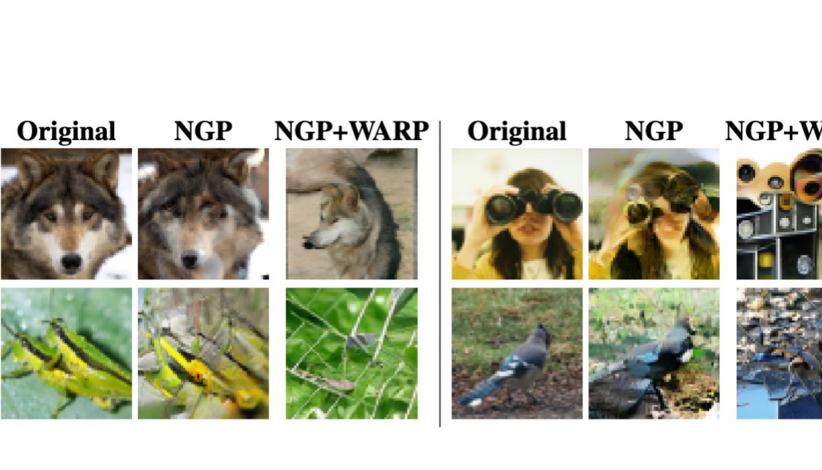 Reconstruction comparison: original, NGP, and NGP plus WARP recoveries for four forgotten examples.